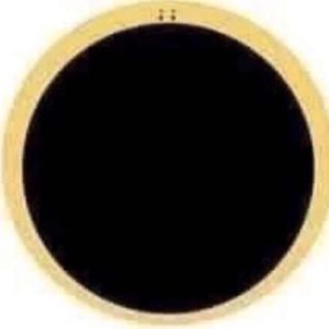 Meet your Posher, Carter